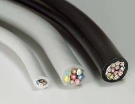 ɳ��������(�й�)�ٷ���վ -APP����