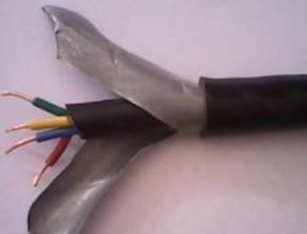 ɳ��������(�й�)�ٷ���վ -APP����