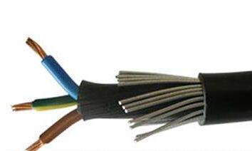 ɳ��������(�й�)�ٷ���վ -APP����