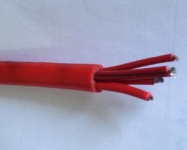 ɳ��������(�й�)�ٷ���վ -APP����