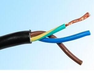 ɳ��������(�й�)�ٷ���վ -APP����