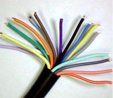 ɳ��������(�й�)�ٷ���վ -APP����