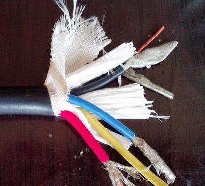 ɳ��������(�й�)�ٷ���վ -APP����