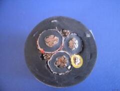 ɳ��������(�й�)�ٷ���վ -APP����