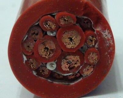 ɳ��������(�й�)�ٷ���վ -APP����