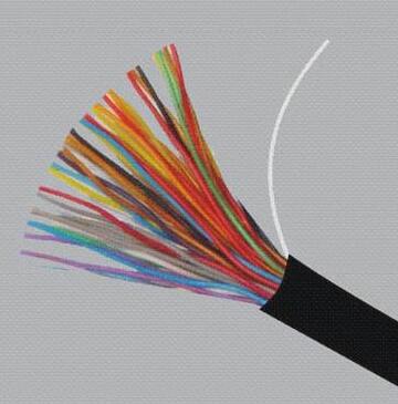 ɳ��������(�й�)�ٷ���վ -APP����