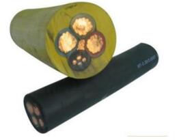 ɳ��������(�й�)�ٷ���վ -APP����