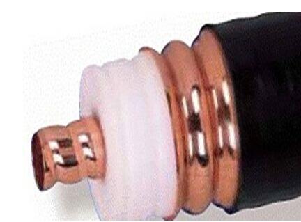 ɳ��������(�й�)�ٷ���վ -APP����