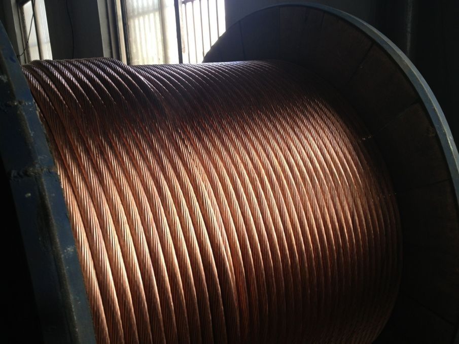 ɳ��������(�й�)�ٷ���վ -APP����