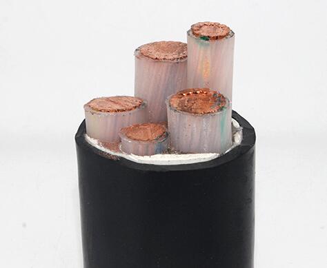 ɳ��������(�й�)�ٷ���վ -APP����