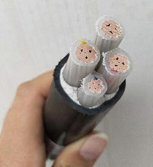 ɳ��������(�й�)�ٷ���վ -APP����