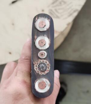 ɳ��������(�й�)�ٷ���վ -APP����