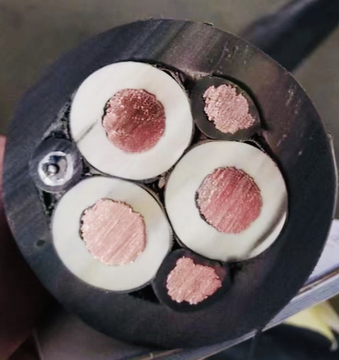 ɳ��������(�й�)�ٷ���վ -APP����