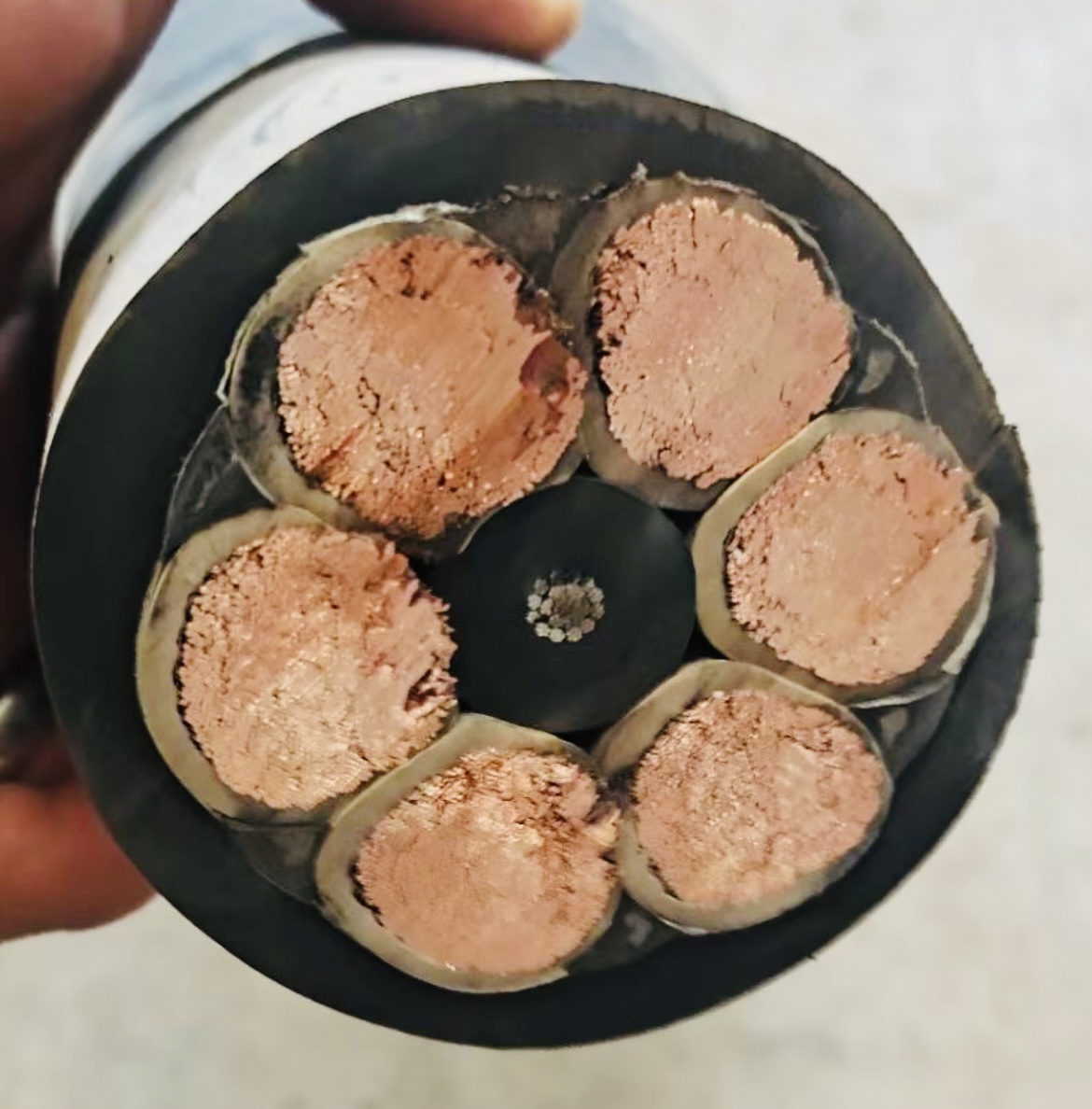 ɳ��������(�й�)�ٷ���վ -APP����