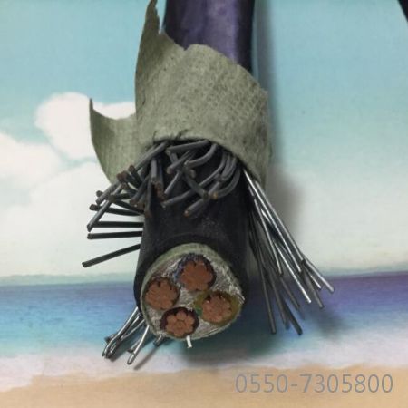 ɳ��������(�й�)�ٷ���վ -APP����