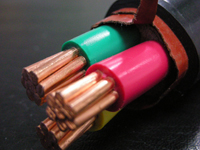 ɳ��������(�й�)�ٷ���վ -APP����