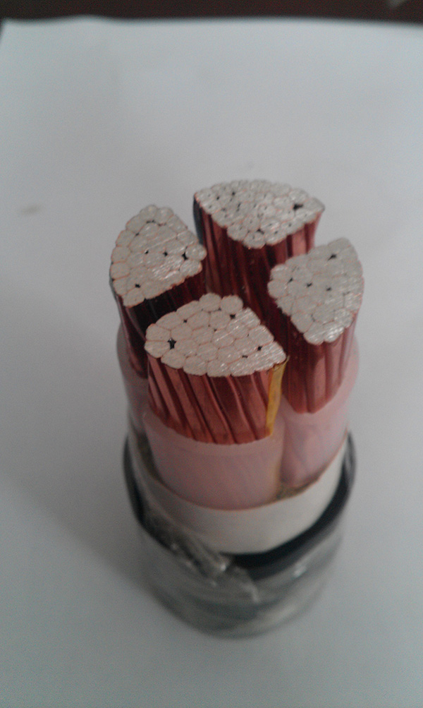 ɳ��������(�й�)�ٷ���վ -APP����