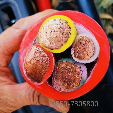 ɳ��������(�й�)�ٷ���վ -APP����