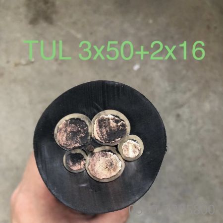 ɳ��������(�й�)�ٷ���վ -APP����