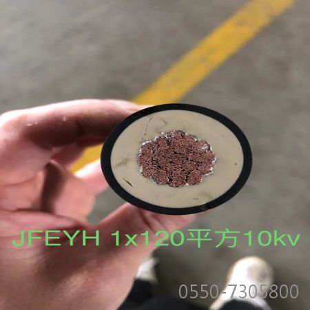 ɳ��������(�й�)�ٷ���վ -APP����