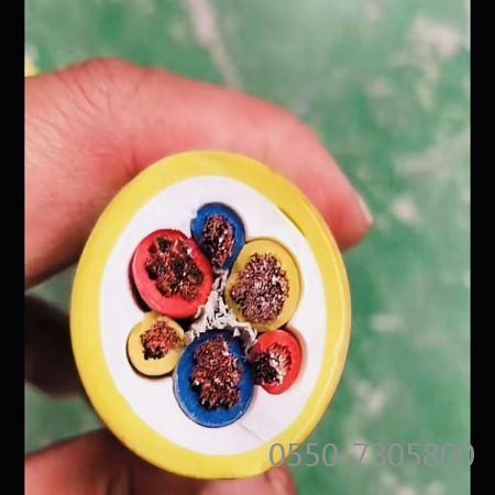 ɳ��������(�й�)�ٷ���վ -APP����