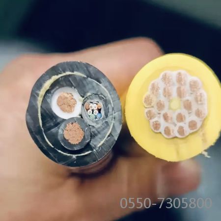 ɳ��������(�й�)�ٷ���վ -APP����