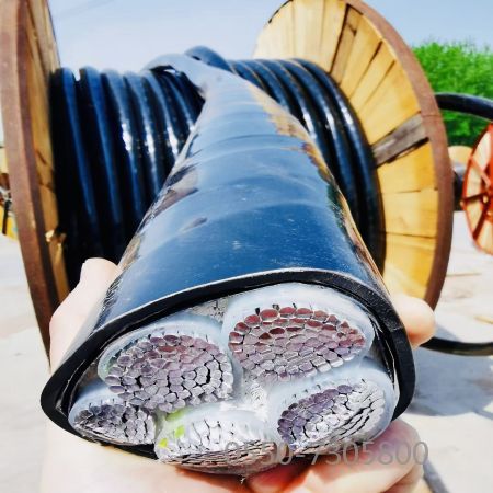 ɳ��������(�й�)�ٷ���վ -APP����