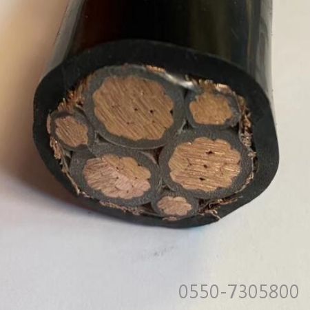 ɳ��������(�й�)�ٷ���վ -APP����