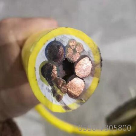 ɳ��������(�й�)�ٷ���վ -APP����