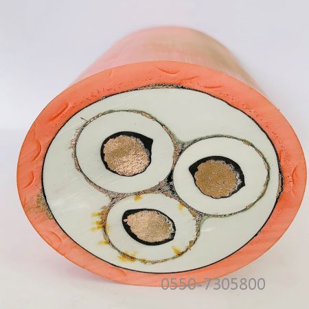 ɳ��������(�й�)�ٷ���վ -APP����