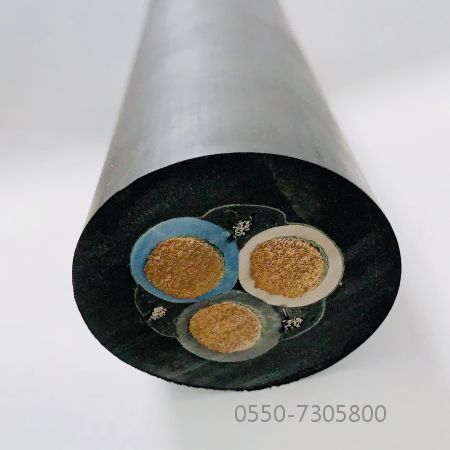 ɳ��������(�й�)�ٷ���վ -APP����