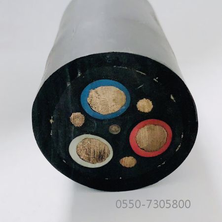 ɳ��������(�й�)�ٷ���վ -APP����