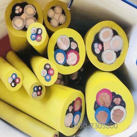 ɳ��������(�й�)�ٷ���վ -APP����