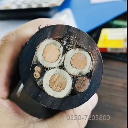 ɳ��������(�й�)�ٷ���վ -APP����