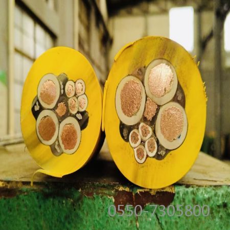 ɳ��������(�й�)�ٷ���վ -APP����