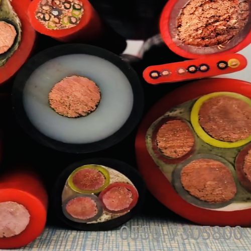 ɳ��������(�й�)�ٷ���վ -APP����