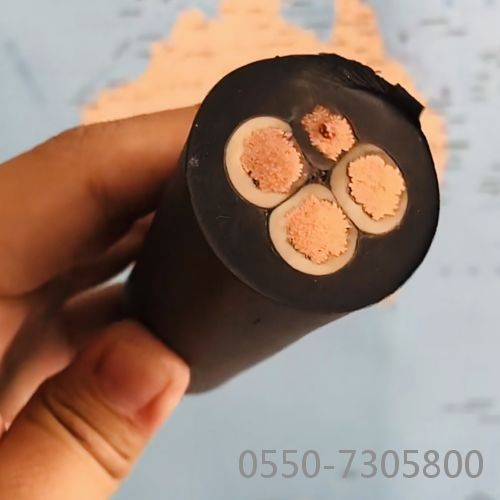 ɳ��������(�й�)�ٷ���վ -APP����