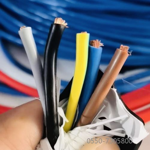 ɳ��������(�й�)�ٷ���վ -APP����