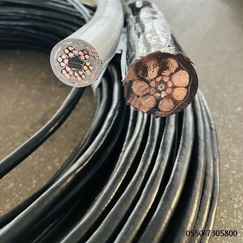 ɳ��������(�й�)�ٷ���վ -APP����