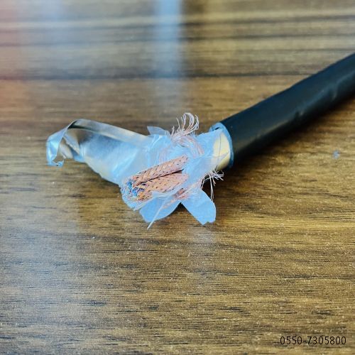 ɳ��������(�й�)�ٷ���վ -APP����