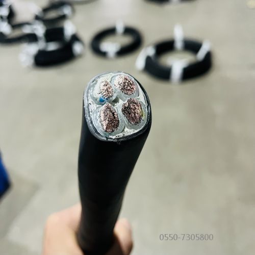 ɳ��������(�й�)�ٷ���վ -APP����