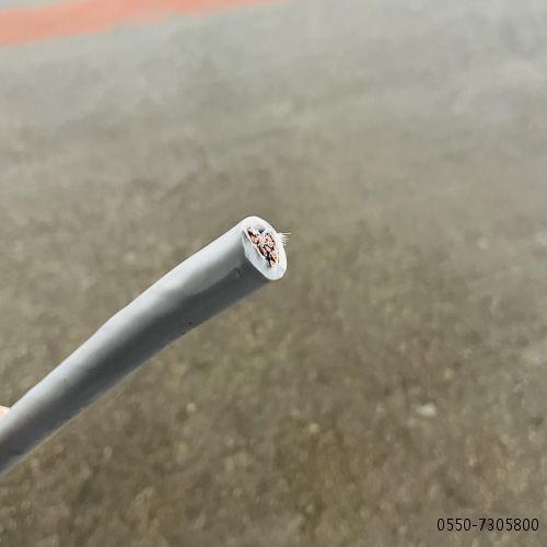 ɳ��������(�й�)�ٷ���վ -APP����