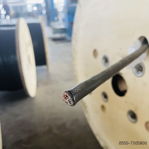 ɳ��������(�й�)�ٷ���վ -APP����