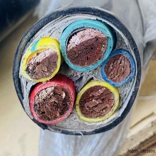 ɳ��������(�й�)�ٷ���վ -APP����