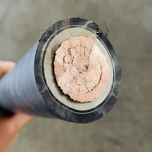 ɳ��������(�й�)�ٷ���վ -APP����