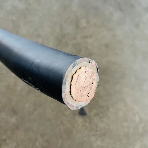 ɳ��������(�й�)�ٷ���վ -APP����