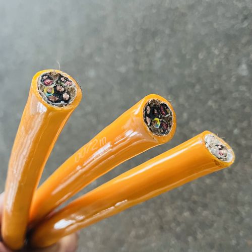 ɳ��������(�й�)�ٷ���վ -APP����