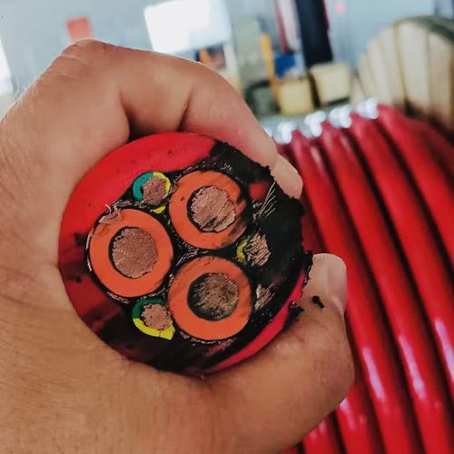 ɳ��������(�й�)�ٷ���վ -APP����