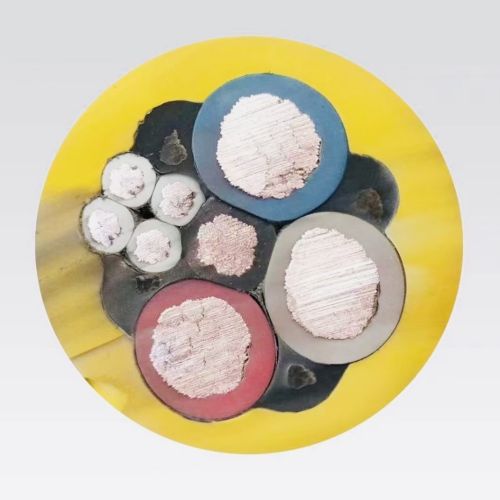 ɳ��������(�й�)�ٷ���վ -APP����