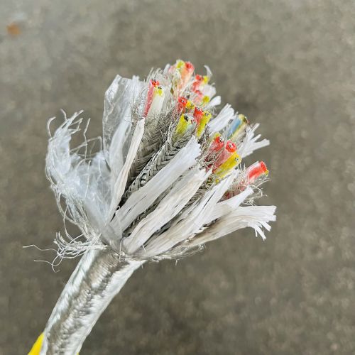 ɳ��������(�й�)�ٷ���վ -APP����